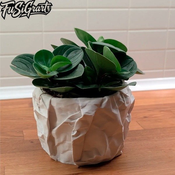 Maceta Papel arrugado - Imagen 5