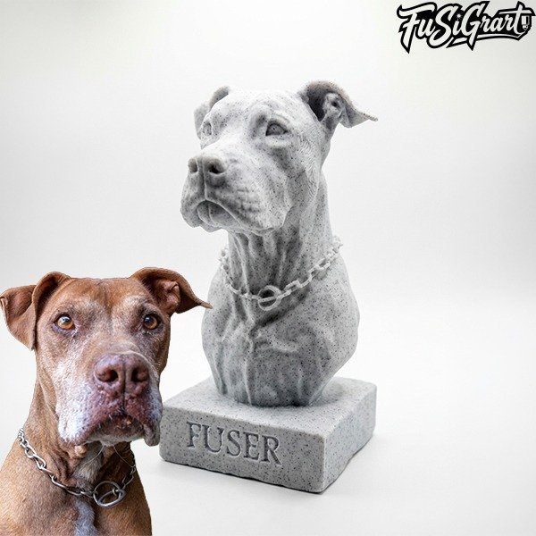 Busto personalizado - Imagen 3