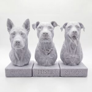 Busto personalizado