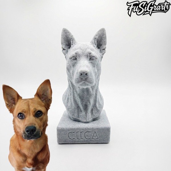 Busto personalizado - Imagen 2