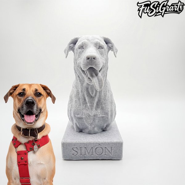 Busto personalizado - Imagen 6